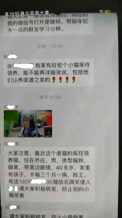 王先生爱心领养弃猫却遭攻击 借助媒体警告侵权行为
